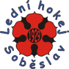 比爾森彼得林B隊(duì)